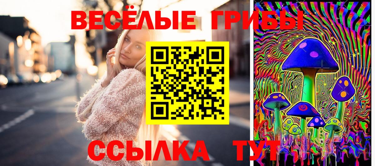 Псилоцибиновые грибы Psilocybine cubensis  Вход с VPN  купить наркоту  Псилоцибиновые грибы Cubensis  Южно-Сахалинск 